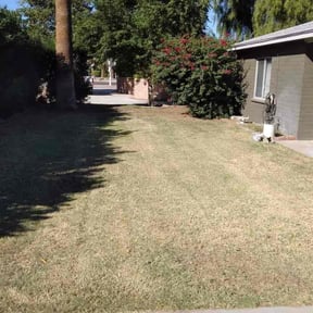 Weeding by Legit Lawn Care Plus reviewed on November 9, 2021