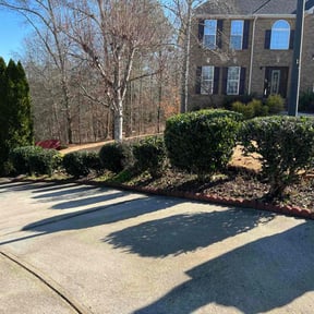 Bush Trimming by TruGreen LawnCare reviewed on April 23, 2025