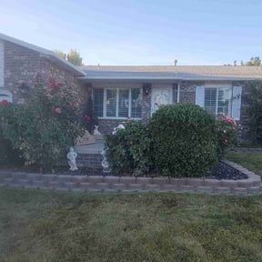 Bush Trimming by Jose Martinez landscape services reviewed on June 3, 2022