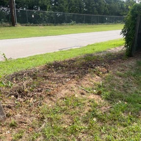 Cleanups by Aura lawn pros reviewed on November 11, 2022
