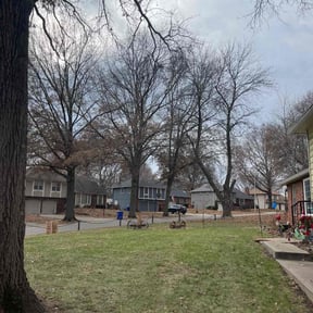 Leaf Removal by Wilson's general maintenance reviewed on April 28, 2022