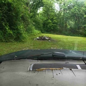 Leaf Removal by Anton Lawn Care reviewed on August 6, 2024