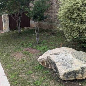 Leaf Removal by All Star lawn care reviewed on July 30, 2025