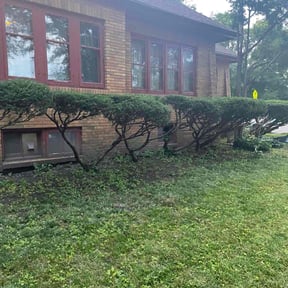 Bush Trimming by Home Land Enterprises LLC reviewed on June 9, 2022