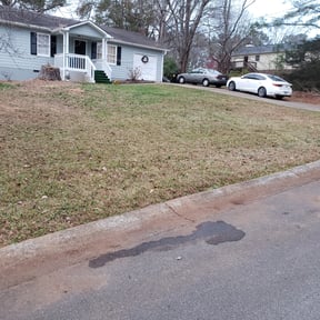 Leaf Removal by Dutch Lawn Care reviewed on June 23, 2025