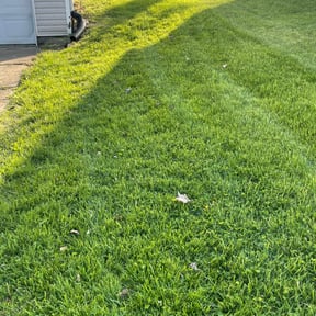 Cleanups by Hillscapes reviewed on April 14, 2022