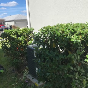 Bush Trimming by J&amp;D Lawn Care Services &amp; More LLC reviewed on August 7, 2025