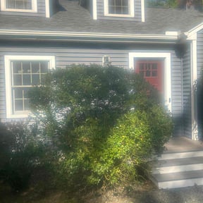 Bush Trimming by Mount Zion Landscaping and Maintenance reviewed on October 5, 2022