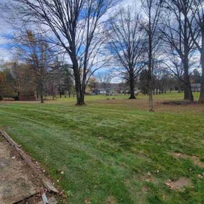 Leaf Removal by Contreras Outdoors reviewed on April 28, 2022