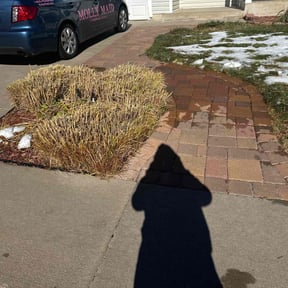 Bush Trimming by Hernandez Family Lawn reviewed on June 13, 2025