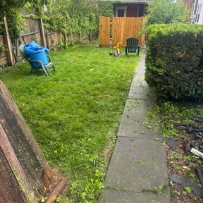 Bush Trimming by Marshall's Design and Maintenance reviewed on June 27, 2022