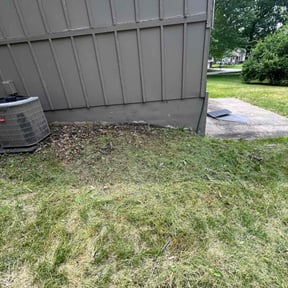 Cleanups by GreenThumb Landscaping reviewed on June 23, 2022