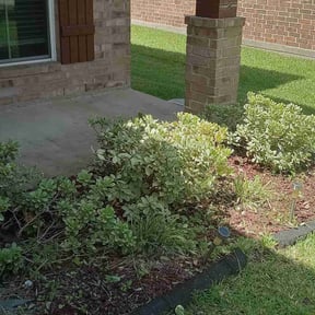 Bush Trimming by Country Cuts Landscapes & Renovations reviewed on June 3, 2022