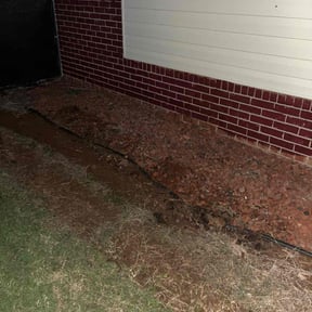 Cleanups by Morel Lawn & tree service reviewed on July 21, 2022
