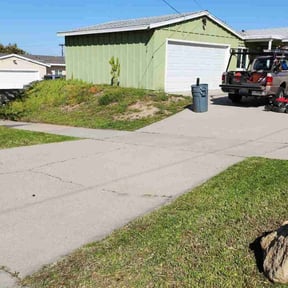 Bush Trimming by TKM reviewed on April 13, 2025