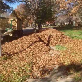 Leaf Removal by Trappery reviewed on May 18, 2022