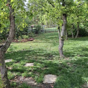 Leaf Removal by Old Skool Outdoorz, LLC reviewed on July 29, 2022