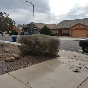 Bush Trimming by C J &#039;s. Lawn Care reviewed on July 18, 2025