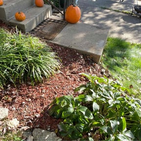 Flower Bed Weeding by Property Rescuer's n maintenance techs reviewed on August 8, 2022