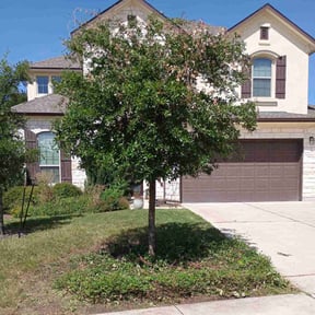 Bush Trimming by Emerald Lawns reviewed on June 24, 2025