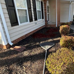 Bush Trimming by Laura the Lawn Lady reviewed on September 25, 2021
