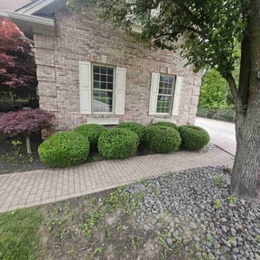 Bush Trimming by Jeremy's Lawn Service reviewed on July 21, 2022