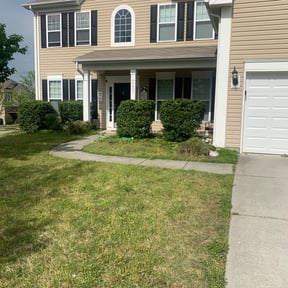Bush Trimming by Ridgewood Landscape Management llc. reviewed on April 29, 2025