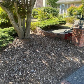 Leaf Removal by Dee Jays lawn service reviewed on November 10, 2021