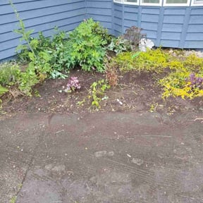 Flower Bed Weeding by Vertical Lawn Care reviewed on December 10, 2024