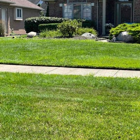 Bush Trimming by River city Properties and Investments reviewed on July 1, 2022