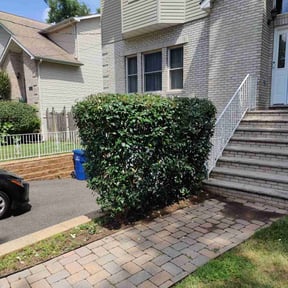 Bush Trimming by Sifu Lawn and Services reviewed on May 6, 2022