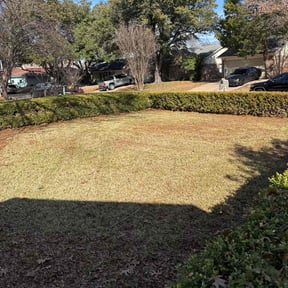 Leaf Removal by Slaughter&#039;s Landscaping reviewed on March 21, 2025