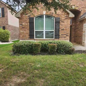 Bush Trimming by LSLTAustin/SanAntonioEmerald reviewed on August 19, 2024