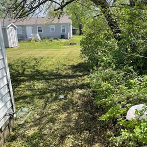 Bush Trimming by Lawn Fade reviewed on June 1, 2022