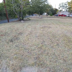 Leaf Removal by Clean Cut Lawn Service reviewed on August 9, 2025