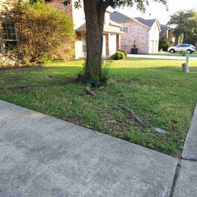 Leaf Removal by Mr. Mows It All reviewed on December 21, 2024