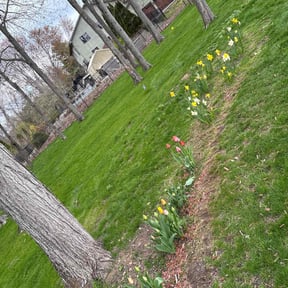 Flower Bed Weeding by S&G Quality Services reviewed on July 28, 2022