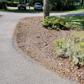 Weed Pulling by Jack's Lawn Care reviewed on June 24, 2022