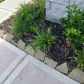 Flower Bed Weeding by Chavez Landscaping reviewed on December 2, 2024