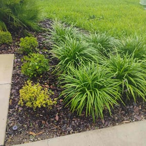 Flower Bed Weeding by OHM LAWNSCAPING LLC reviewed on June 24, 2022