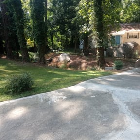 Bush Trimming by Second Glance Landscaping LLC reviewed on April 17, 2025