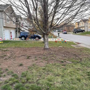 Leaf Removal by Propert Doctors reviewed on May 13, 2022