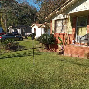 Bush Trimming by Them Joneses reviewed on December 18, 2024