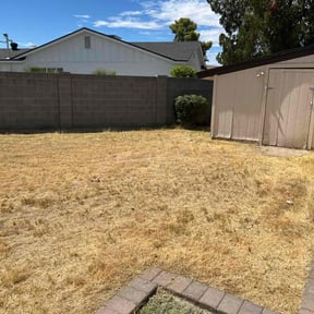 Bush Trimming by Yadiel's Lawn Service LLC reviewed on April 9, 2023