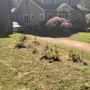 Bush Trimming by Green Gods LLC reviewed on March 12, 2025