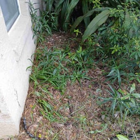 Flower Bed Weeding by Carbon Dioxide Recyclers reviewed on July 8, 2022
