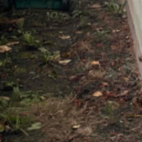 Flower Bed Weeding by KASCO COMPANY reviewed on November 16, 2024