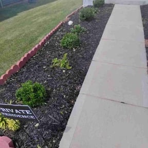 Bush Trimming by Innovative designs llc reviewed on June 29, 2022
