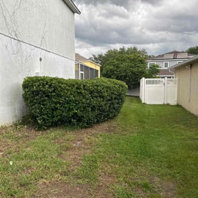 Bush Trimming by Lawn Kingz reviewed on June 17, 2022