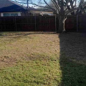 Leaf Removal by TLC Lawn Service reviewed on May 28, 2025